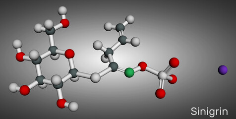 Sinigrin, allyl glucosinolate molecule. Glucosinolate from family of glucosides, found in plants of the family Brassicaceae. Molecular model. 3D rendering. I