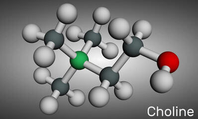 Choline vitamin-like essential nutrien molecule. It is Vitamin B4. Molecular model. 3D rendering.