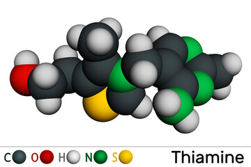 Thiamine, vitamin B1 molecule. Found in food, used as a dietary supplement and medication. Molecular model. 3D rendering.