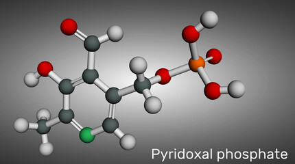 Pyridoxal phosphate, PLP molecule. It is active form of vitamin B6 and coenzyme. Molecular model. 3D rendering