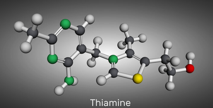 Thiamine, vitamin B1 molecule. Found in food, used as a dietary supplement and medication. Molecular model. 3D rendering.
