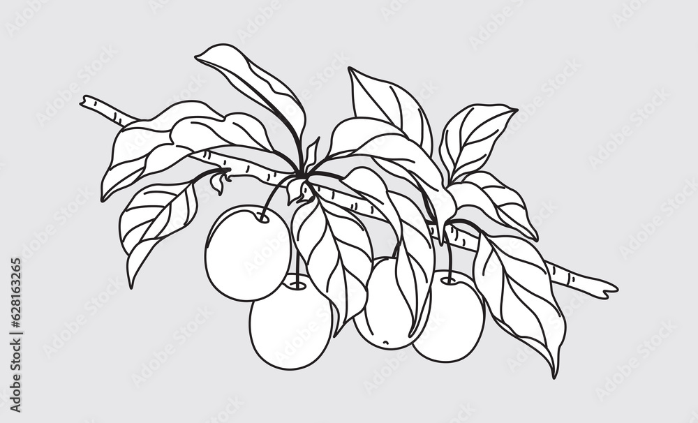 Canvas Prints outline plum tree branch with fruits.