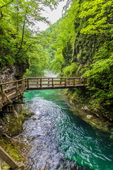 Fototapeta premium A view of a bridge over the Radovna River in the narrow section of the Vintgar Gorge in Slovenia in summertime 