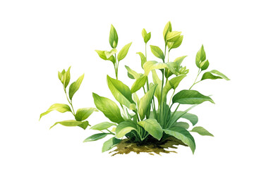 Green plant, eco vintage illustration