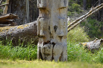 Fototapeta na wymiar Historic Totem Poles, Sgang Gwaay, Ninstints, Haida Gwaii, BC, Canada 