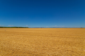 view of a crop field in Spain