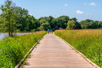 Fototapeta na wymiar Bicycle Riders On A Wooden Boardwalk Through the Marsh In Summer