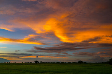 Fiery orange sunset sky. Beautiful sky.Sunrise with cloud over rice field.Paddy field Beautiful landscape Thailand Rice Fields Sunset panorama after big storm.