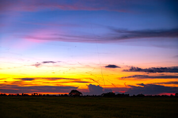 Fiery orange sunset sky. Beautiful sky.Sunrise with cloud over rice field.Paddy field Beautiful landscape Thailand Rice Fields Sunset panorama after big storm.