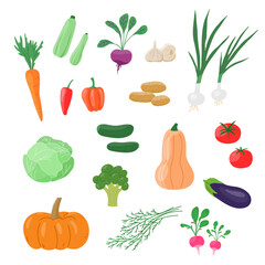 Harvest vegetables set isolated on white. Fresh vegan food. Vegetarian products, healthy cooking ingredients