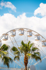 Obraz premium Grande roue de Toulon avec les palmiers au premier plan