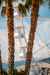 Grande roue de Toulon avec les palmiers au premier plan