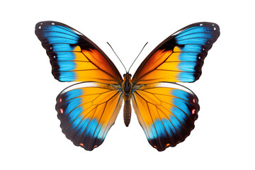 Fototapeta na wymiar Very beautiful colorful butterfly in flight isolated on white background PNG