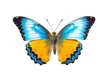 Fototapeta na wymiar Very beautiful colorful butterfly in flight isolated on white background PNG