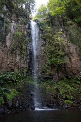 Obraz premium Waterfalls in the deep rain forests of Madeira