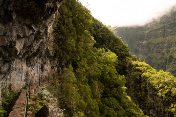 Subtropical jungle in the heart of Madeira, portuguese atlanticIsland with hiker paradise paths