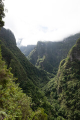 Green rainforest in the mountains of Madeira, hiking path of levada through stunning nature