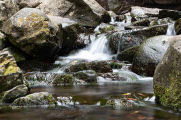 Naklejka na ściany i meble Beautiful little waterfall on the creek of levada das 25 Fontes in Madeira