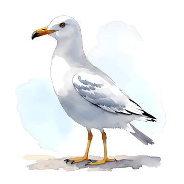 Seagull in cartoon style. Cute Little Cartoon Seagull isolated on white background. Watercolor drawing, hand-drawn Seagull in watercolor. For children's books, for cards, Children's illustration..