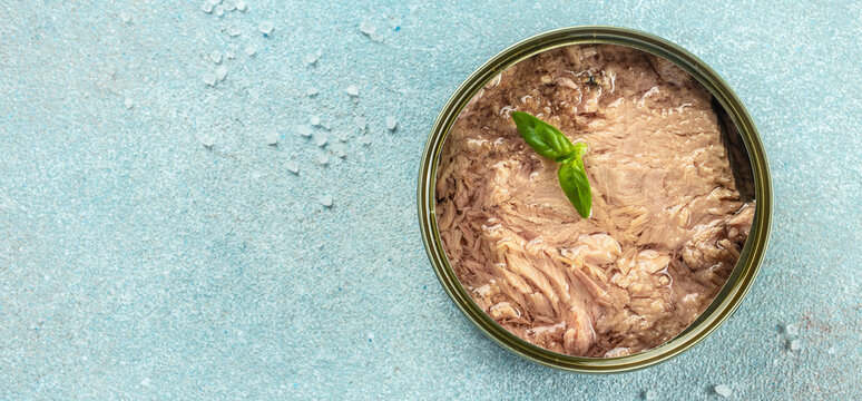 Canned tuna fillet meat in olive oil on a blue background. Long banner format. top view