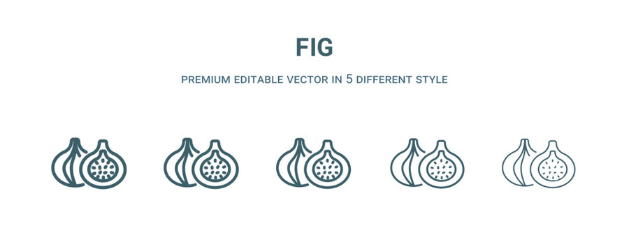 fig icon in 5 different style. Thin, light, regular, bold, black fig icon isolated on white background.