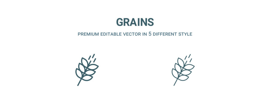 grains icon. Filled and line grains icon from nature collection. Outline vector isolated on white background. Editable grains symbol