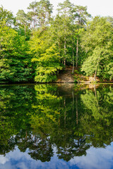 Naklejka na ściany i meble View over a lake surrounded by trees
