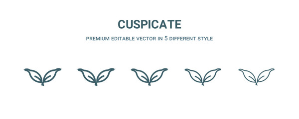 cuspicate icon in 5 different style. Thin, light, regular, bold, black cuspicate icon isolated on white background.