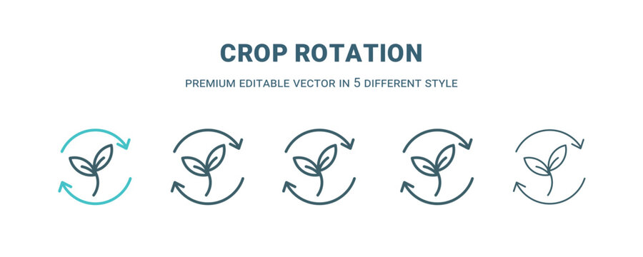 crop rotation icon in 5 different style. Outline, filled, two color, thin crop rotation icon isolated on white background. Editable vector can be used web and mobile