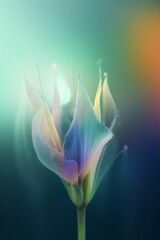 Magic lily flower colorful spectrum in the dark like a dream Created with Generative AI technology.