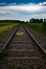 Fototapeta na wymiar Low angle view of abandoned railroad tracks