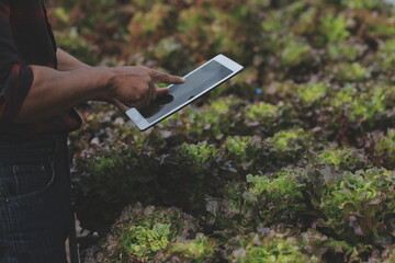 Asian woman farmer using digital tablet in vegetable garden at greenhouse, Business agriculture technology concept, quality smart farmer.