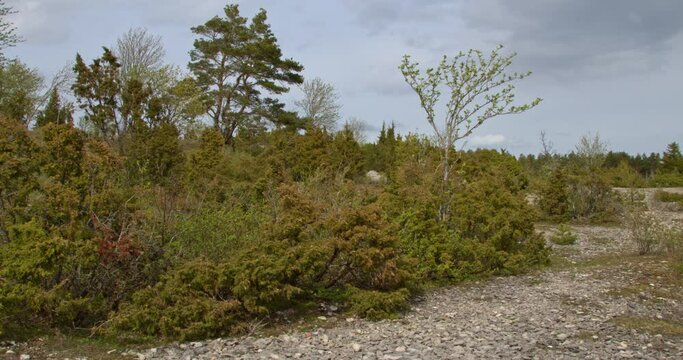 Immerse yourself in Estonia's scenic wonder: Kassari Landscape Protection area on Hiiumaa Island. Discover diverse beauty and untouched landscapes.