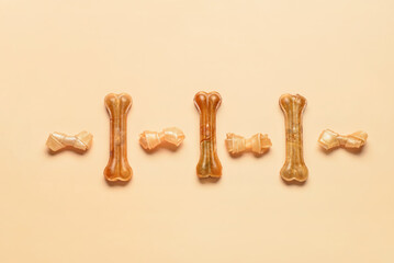 Composition with dog treats on color background