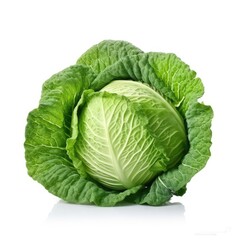 Obraz premium Cabbage Isolated on White Background