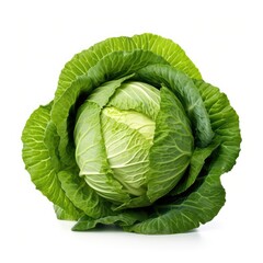 Obraz premium Cabbage Isolated on White Background
