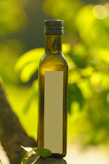 oil bottle stands on a tree