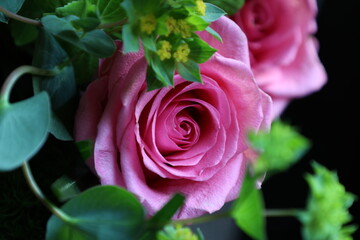 Pink rose hidden in a bouquet