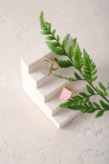 Decorative stand with beautiful elegant rings and plant leaves on white grunge background