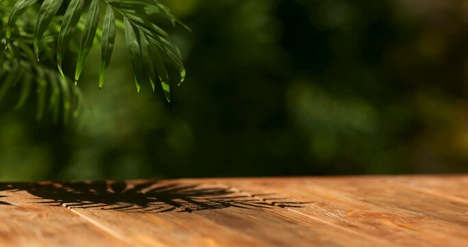 Mockup wooden table outside, palm branch swaying in the wind. Blurred background