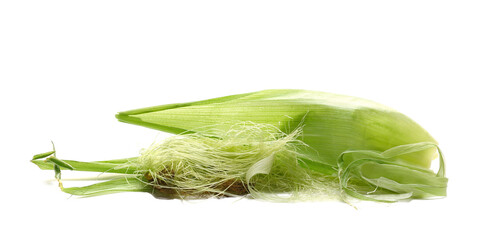 Fresh stringy corn, maize silk pile and with green leaves isolated on white  