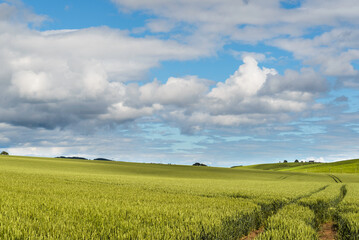 Obraz premium landscape around the village of Rosemarkie with a cloudy skye, Scotland
