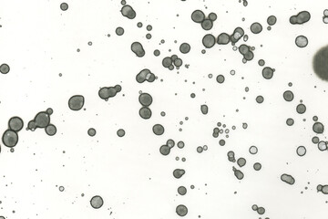 Abstract art with alcohol ink and watercolor. Modern Art. Interior picture