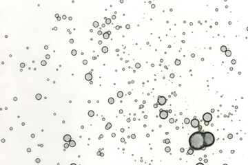 Abstract art with alcohol ink and watercolor. Modern Art. Interior picture