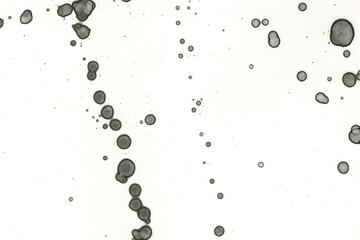 Abstract art with alcohol ink and watercolor. Modern Art. Interior picture