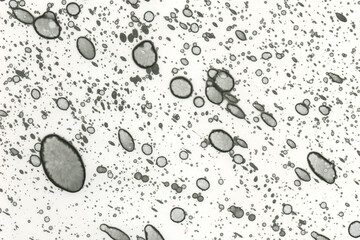 Abstract art with alcohol ink and watercolor. Modern Art. Interior picture