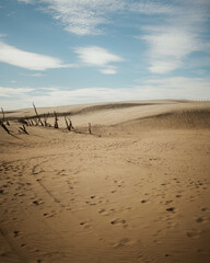 Sand Dunes in Poland