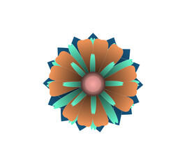 Blooming flowers of different colors, shapes- Each one is unique and beautiful 