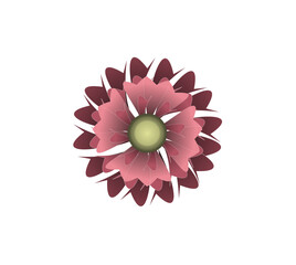 Blooming flowers of different colors, shapes- Each one is unique and beautiful 