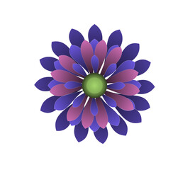 Blooming flowers of different colors, shapes- Each one is unique and beautiful 
